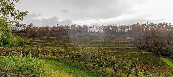 3 bedrooms House in Gondomar, Portugal No. 22906 40