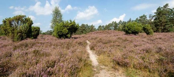 5 chambres Maison de ville à Heidekreis, Germany No. 224522 2