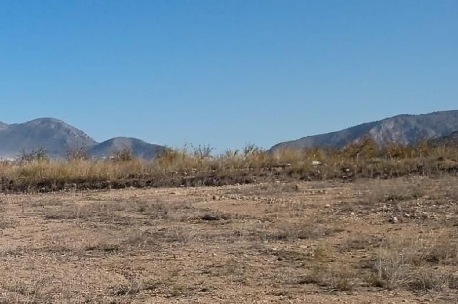 Grundstück in La Romana, Spain 5632m², Nr. 67103