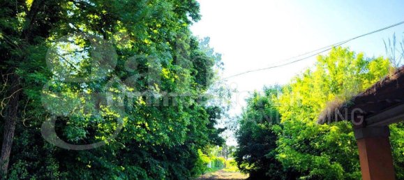 6 bedrooms House in San Pietro in Casale, Italy No. 266128 7