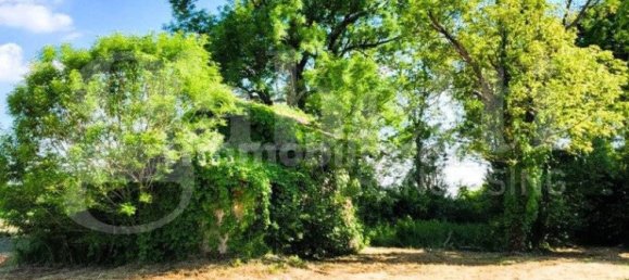 6 bedrooms House in San Pietro in Casale, Italy No. 266128 19