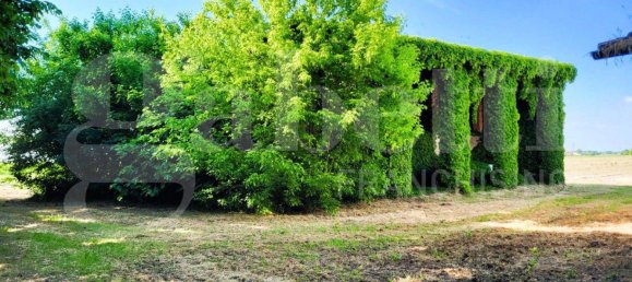 6 bedrooms House in San Pietro in Casale, Italy No. 266128 6