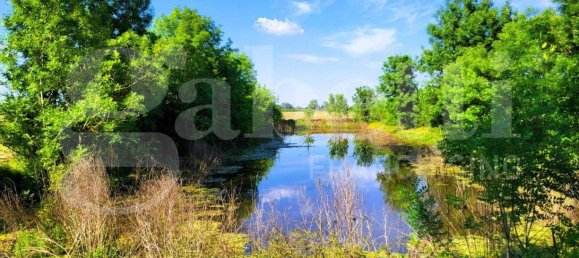 6 bedrooms House in San Pietro in Casale, Italy No. 266128 5