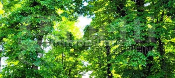 6 bedrooms House in San Pietro in Casale, Italy No. 266128 21