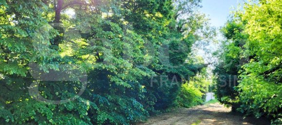 6 bedrooms House in San Pietro in Casale, Italy No. 266128 8