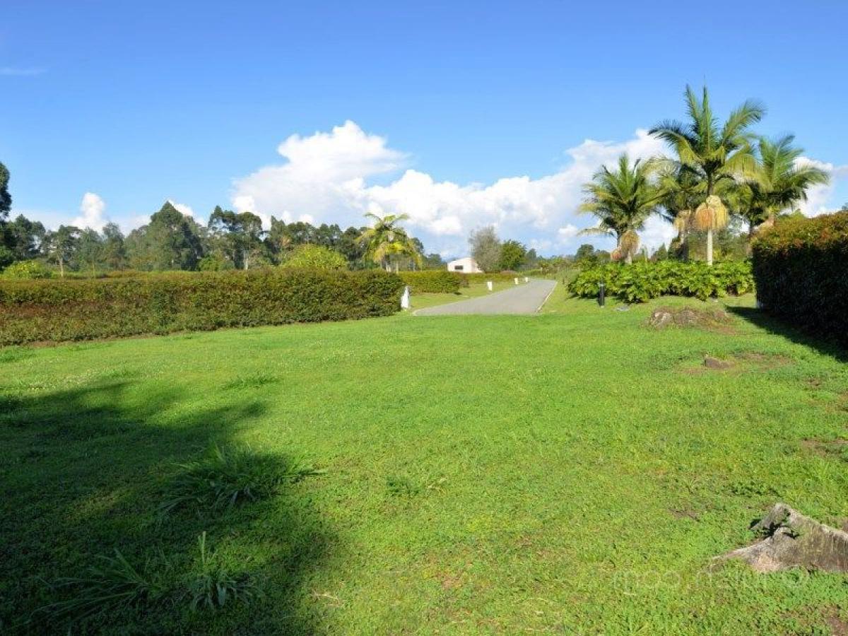  قطعة أرض في Antioquia, Colombia رقم 535