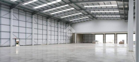 1 room Warehouse in Pozzolengo, Italy No. 311086 12