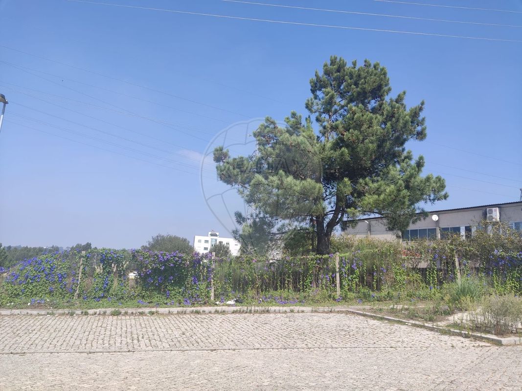 Grundstück in Fanzeres, Portugal 1725m², Nr. 32060