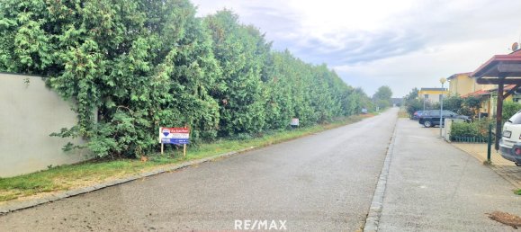 Terrain à Gols, Austria No. 224250 8