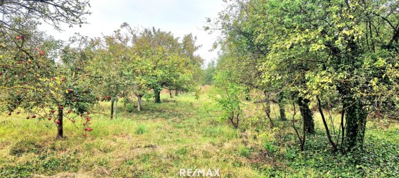 Terrain à Gols, Austria No. 224250 4