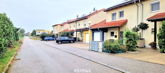 Terrain à Gols, Austria No. 224250 10