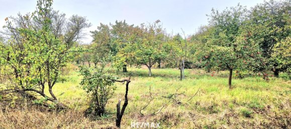 Terrain à Gols, Austria No. 224250 6