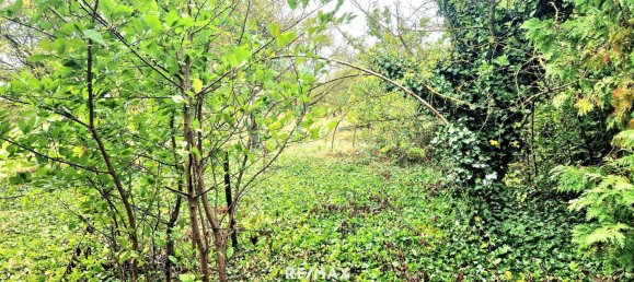 Terrain à Gols, Austria No. 224250 2