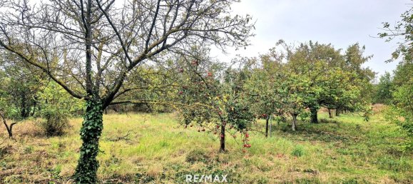 Terrain à Gols, Austria No. 224250 3