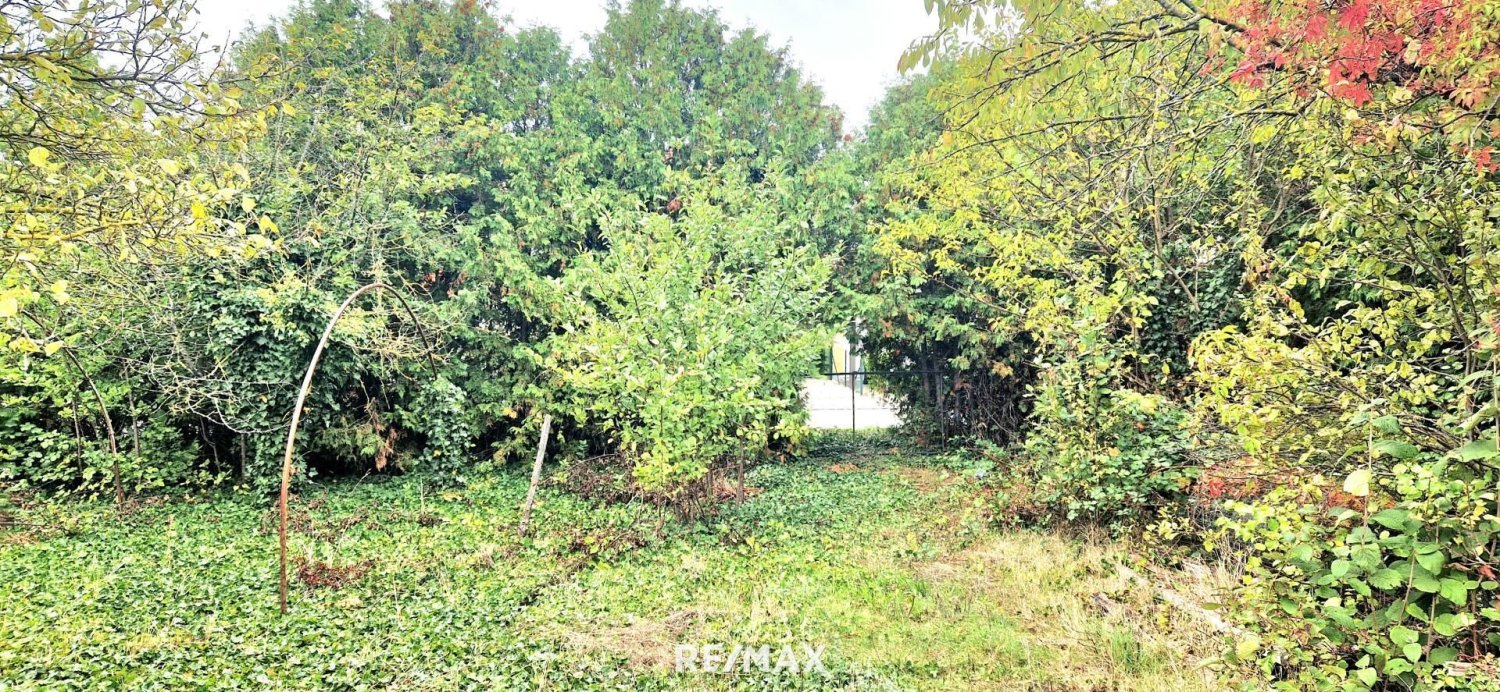 Terrain à Gols, Austria No. 224250