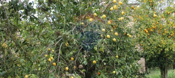 14 rooms Villa in Caserta, Italy No. 81882 35