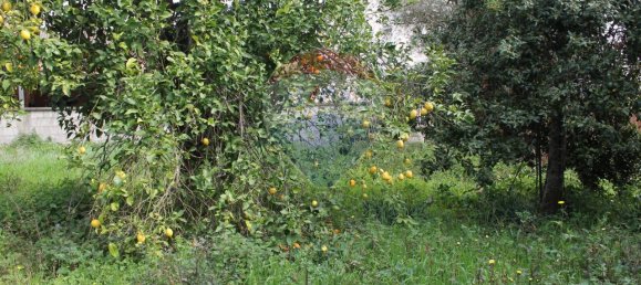 14 rooms Villa in Caserta, Italy No. 81882 36