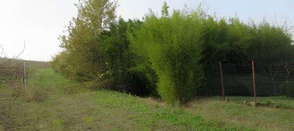 7 bedrooms Apartment in Pietra de' Giorgi, Italy No. 361395 9