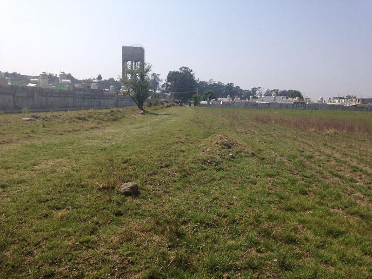  Land in San Buenaventura, Mexico No. 206742