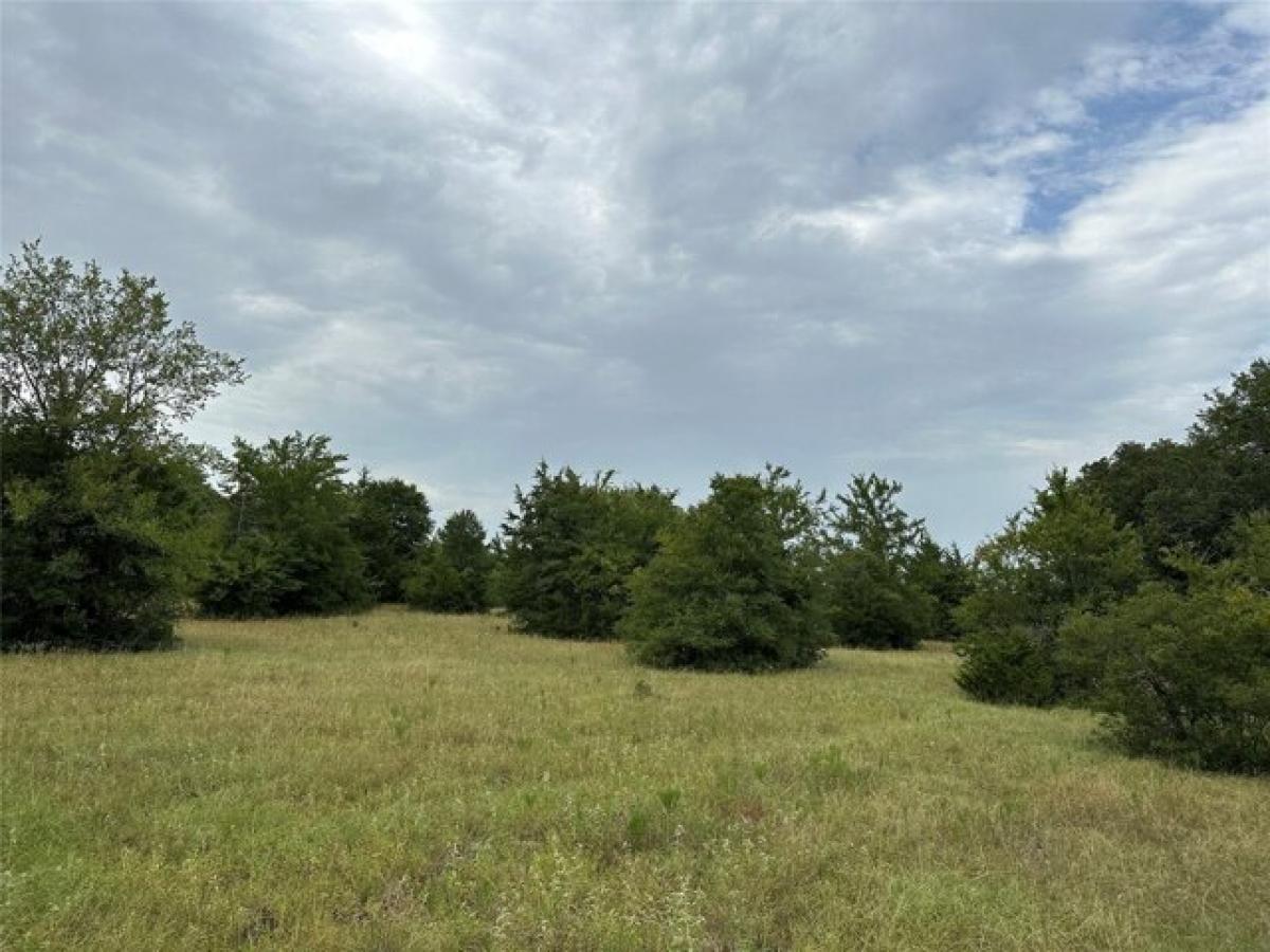  Land in Bryan, USA No. 481433