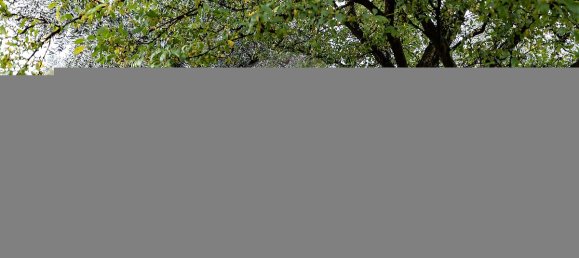 6 bedrooms House in Gouveia, Portugal No. 28858 23