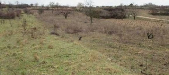 Grundstück in Burgos, Spain, Nr. 75699 2