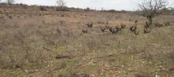 Grundstück in Burgos, Spain, Nr. 75699 4