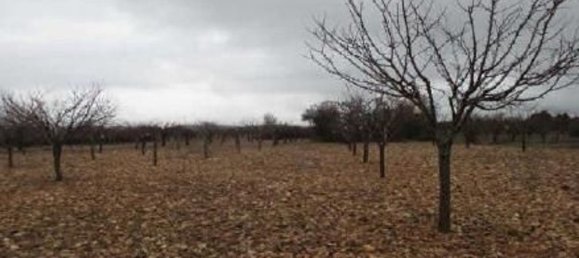 Grundstück in Burgos, Spain, Nr. 75699 5