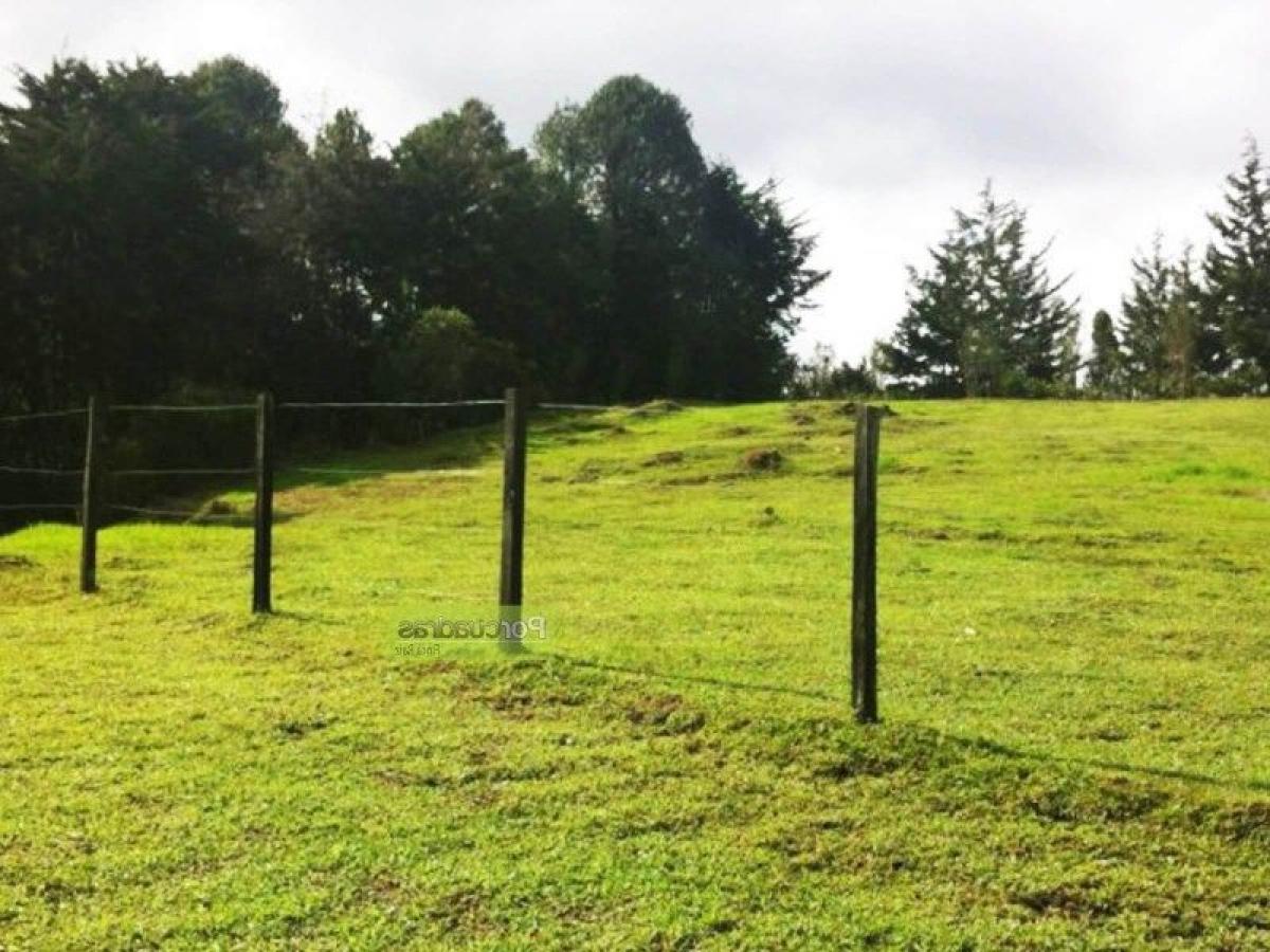 Terreno en Antioquia, Colombia No. 538