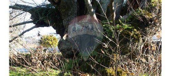 3 bedrooms House in Alvaiazere, Portugal No. 188531 10