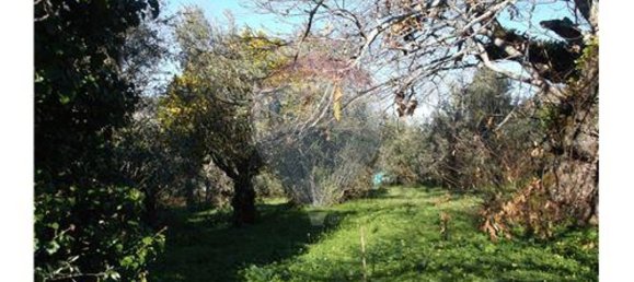 3 bedrooms House in Alvaiazere, Portugal No. 188531 8