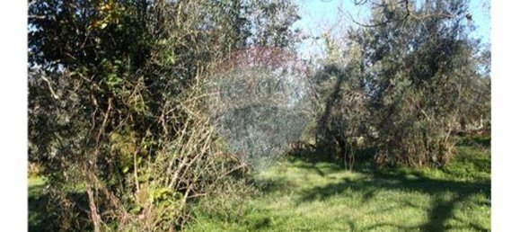 3 bedrooms House in Alvaiazere, Portugal No. 188531 2