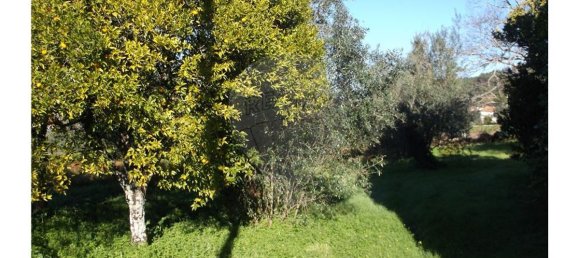 3 bedrooms House in Alvaiazere, Portugal No. 188531 3