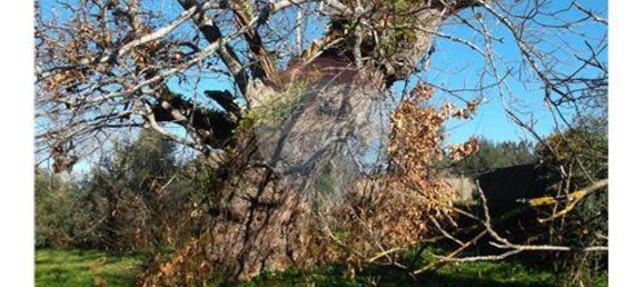 3 bedrooms House in Alvaiazere, Portugal No. 188531 7