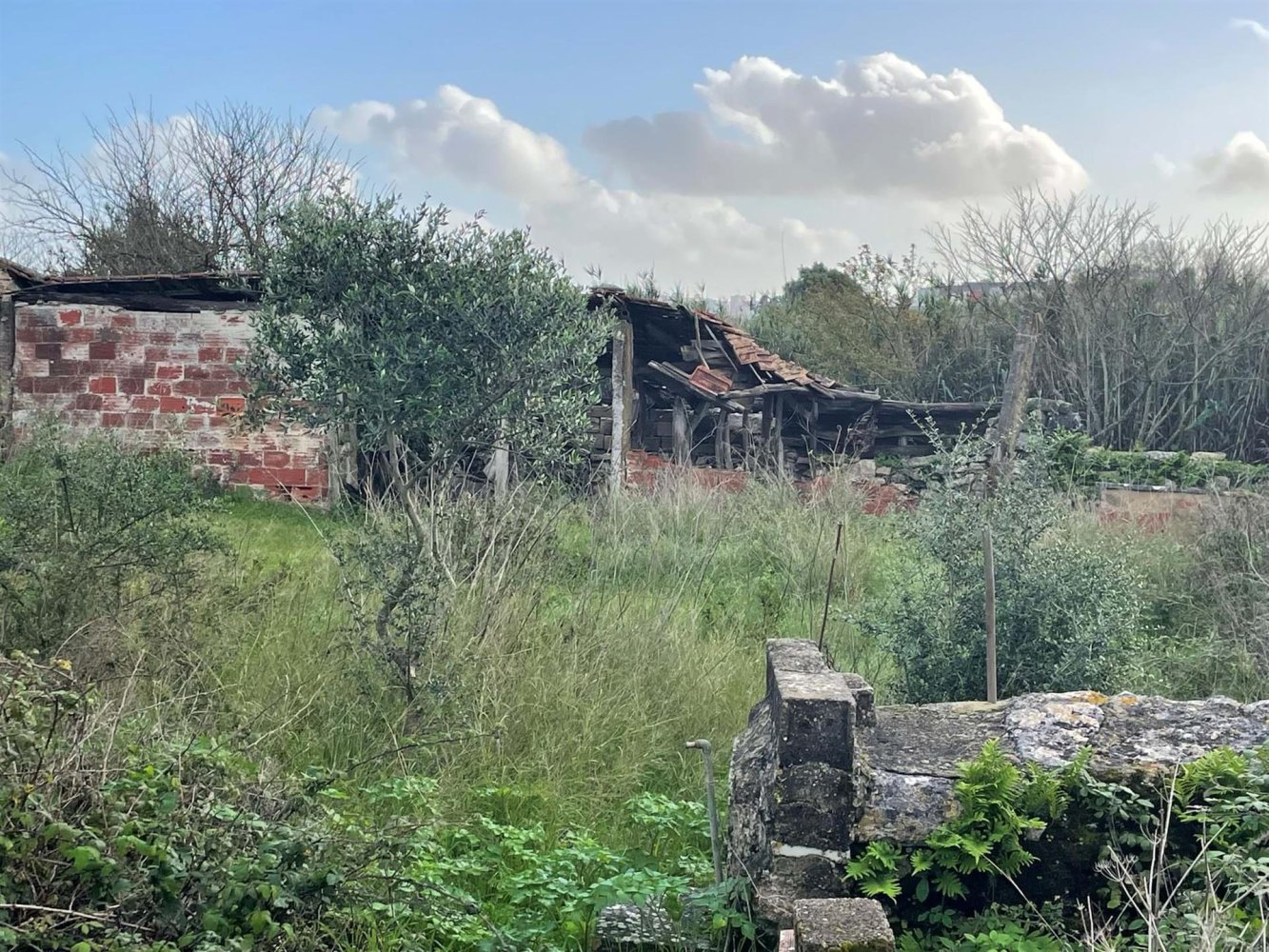 Terrain à Sintra, Portugal 1920m² No. 204273