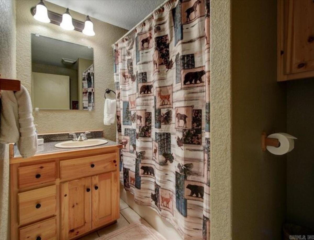 2 bedrooms House in Hot Springs, USA No. 429583