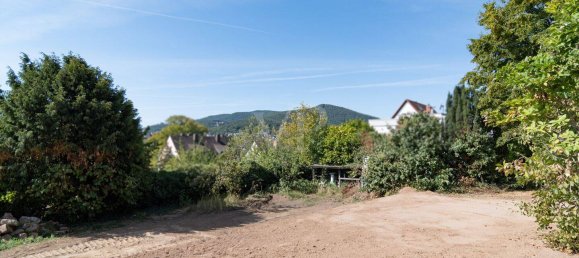  Land in Rhineland-Palatinate, Germany No. 348640 4