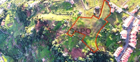 6877m² Land in Porto da Cruz, Portugal No. 145057 7