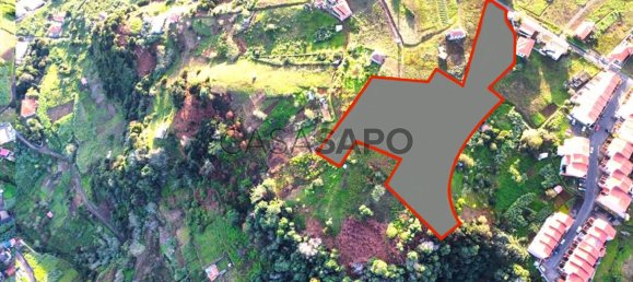6877m² Land in Porto da Cruz, Portugal No. 145057 9