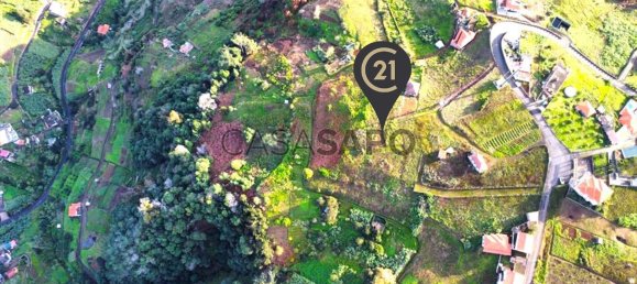 6877m² Land in Porto da Cruz, Portugal No. 145057 8