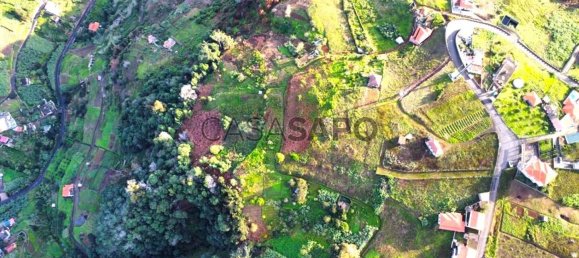 6877m² Land in Porto da Cruz, Portugal No. 145057 10