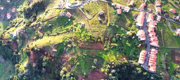 6877m² Land in Porto da Cruz, Portugal No. 145057 12