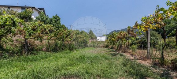 3 Schlafzimmer Haus in Amares, Portugal, Nr. 300419 32