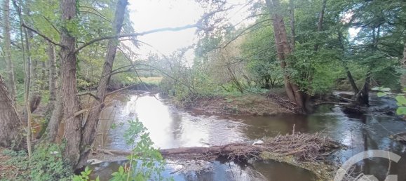 Casa de 5 dormitorios en Chassignolles, France No. 229996 3