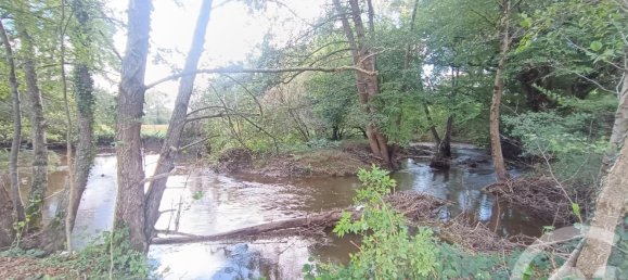 Casa de 5 dormitorios en Chassignolles, France No. 229996 16
