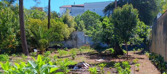 6 bedrooms House in Portalegre, Portugal No. 16437 7