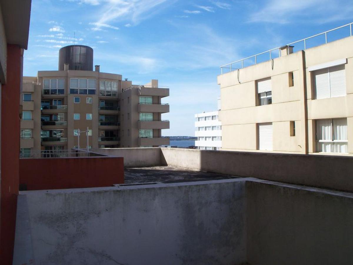 Studio in Maldonado, Uruguay No. 11901