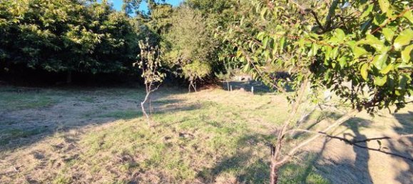 3 chambres Maison à A Caniza, Spain No. 178660 21