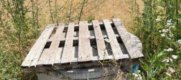 Terreno em Eisenkappel-Vellach, Austria N.º 151460 6