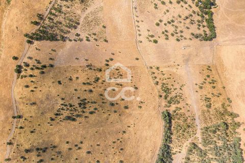  Land in Reguengos de Monsaraz, Portugal No. 310206